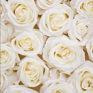 Meet your Posher, Kina